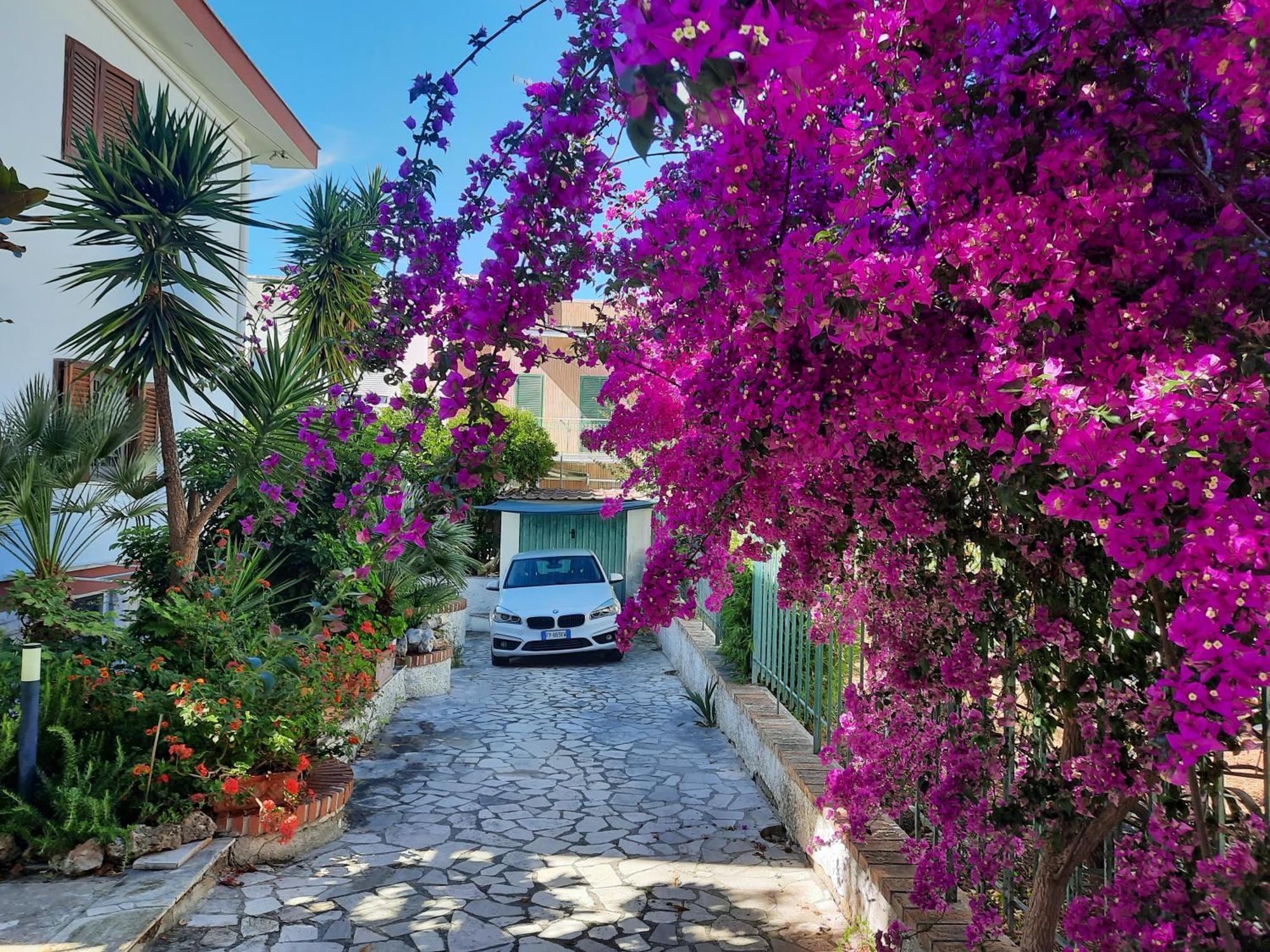 Residenza Nisio Vila Bari Exterior foto